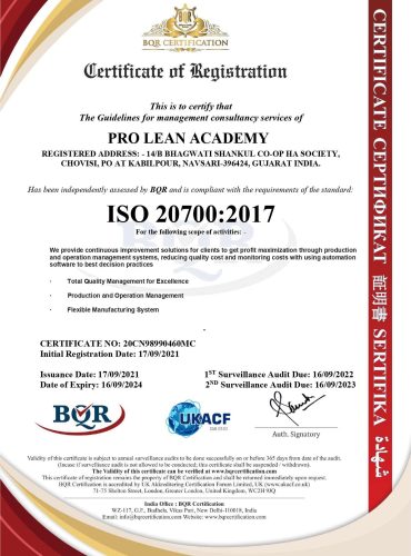 PRO LEAN ACADEMY ISO 20700_page-0001